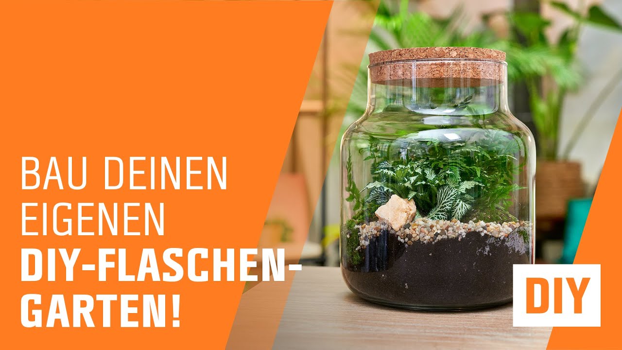 Flaschengarten anlegen | OBI | Indoor Jungle