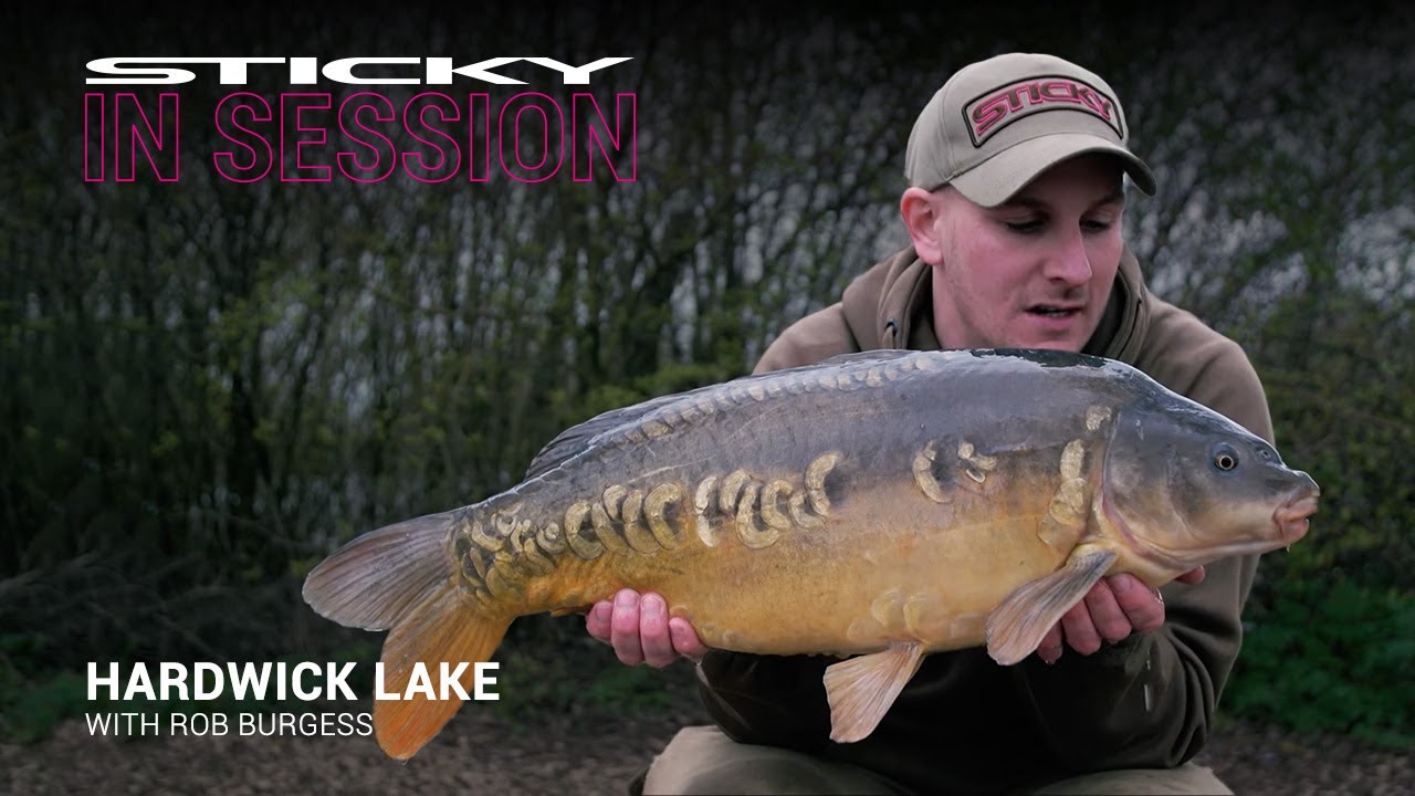Hardwick lake – Rob's 11 fish haul using Manilla