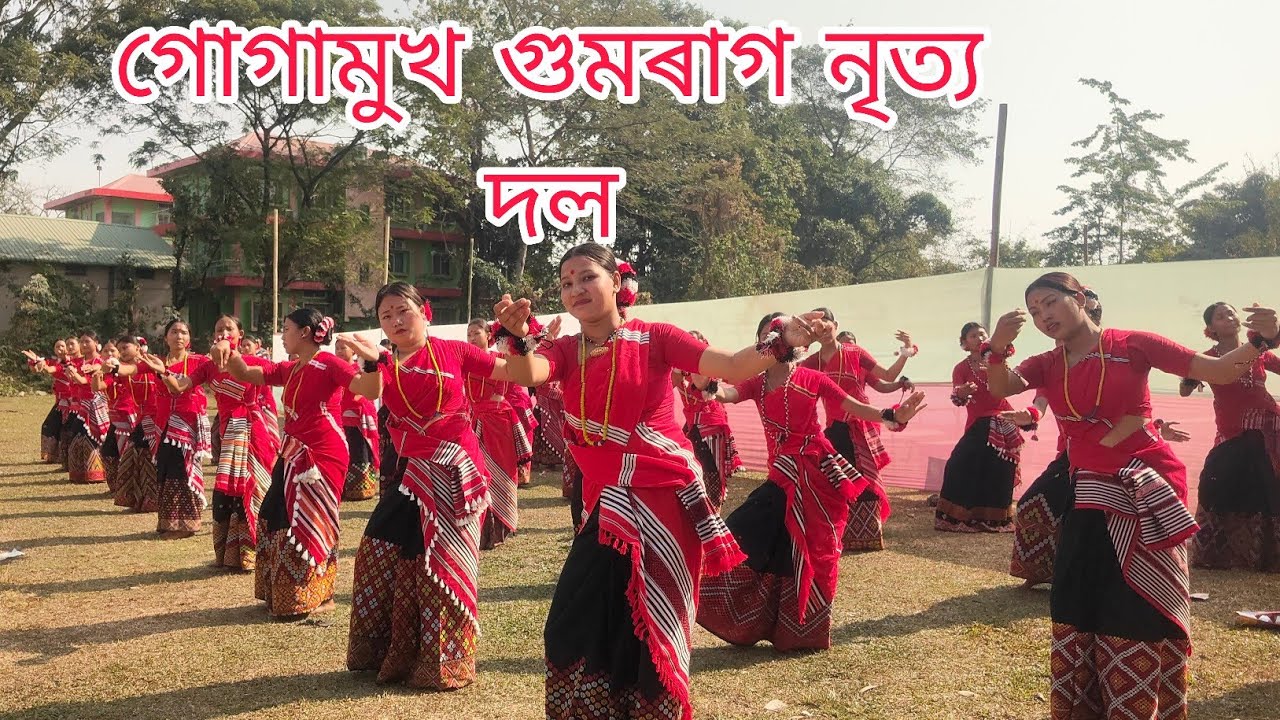 গোগামুখ গুমৰাগ নৃত্য দল  #misingvideosong #trendingvideo #viralvideo 