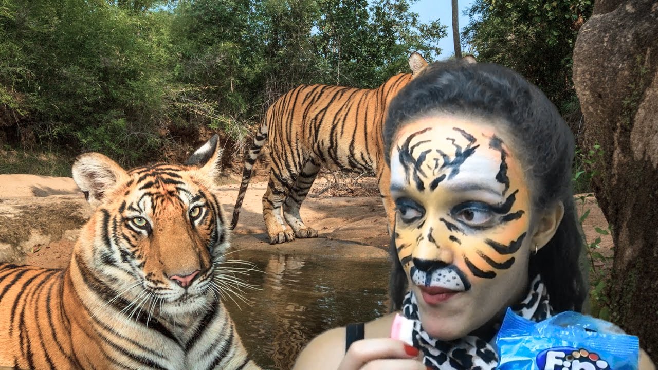 Aprenda a fazer um tigre com pintura facial!