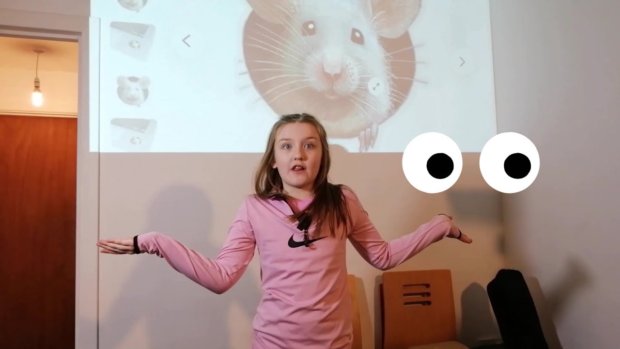 LISTEN TAE THE TEACHER - a poem by Nancy Nicolson. Recited by HOLLIE.