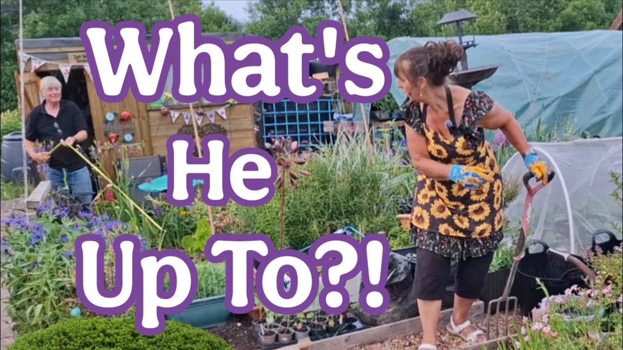 No Dig / No Till / Planting Out / Garlic Harvest / UK Allotment