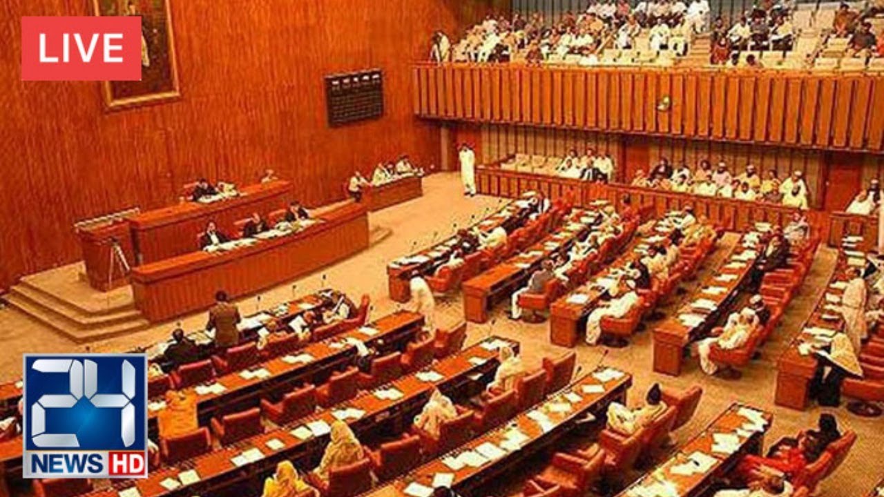 LIVE | PDM Jalsa | Senate Assembly Session | 19 Oct 2020