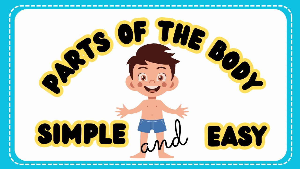 Parts of the Body. Simple and Easy