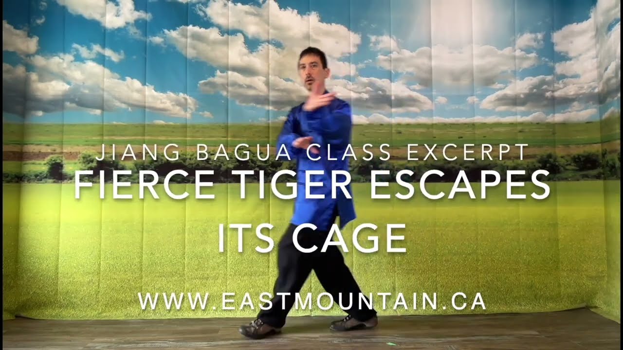 Jiang Bagua Course Excerpt