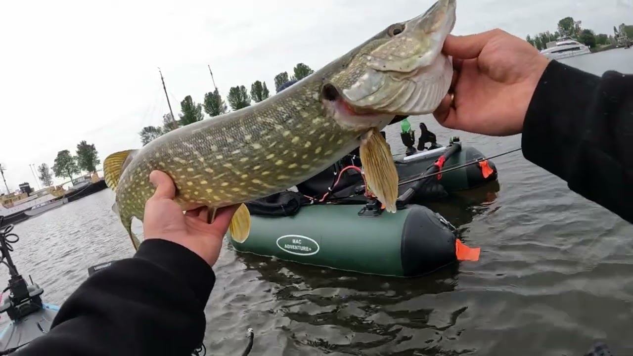 Porostu Szczupaki!! no i oczywiście kolejne metry!!