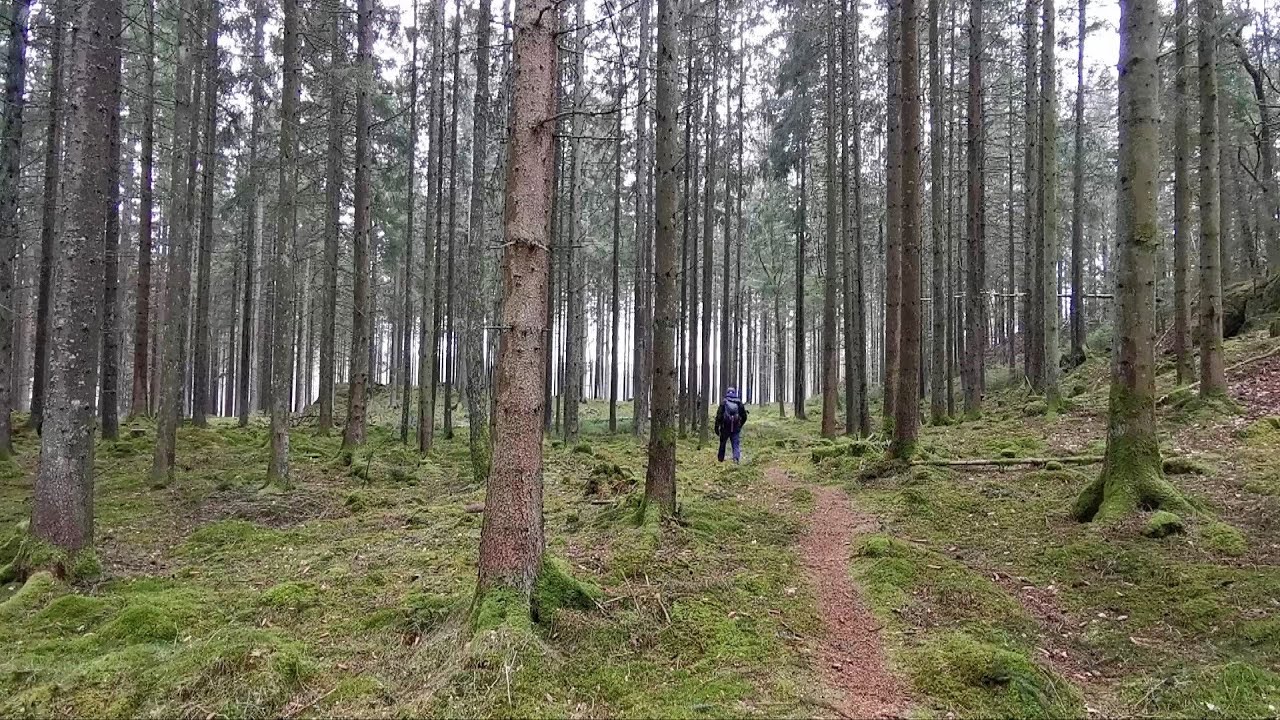 Vandringstips vid Lilla 