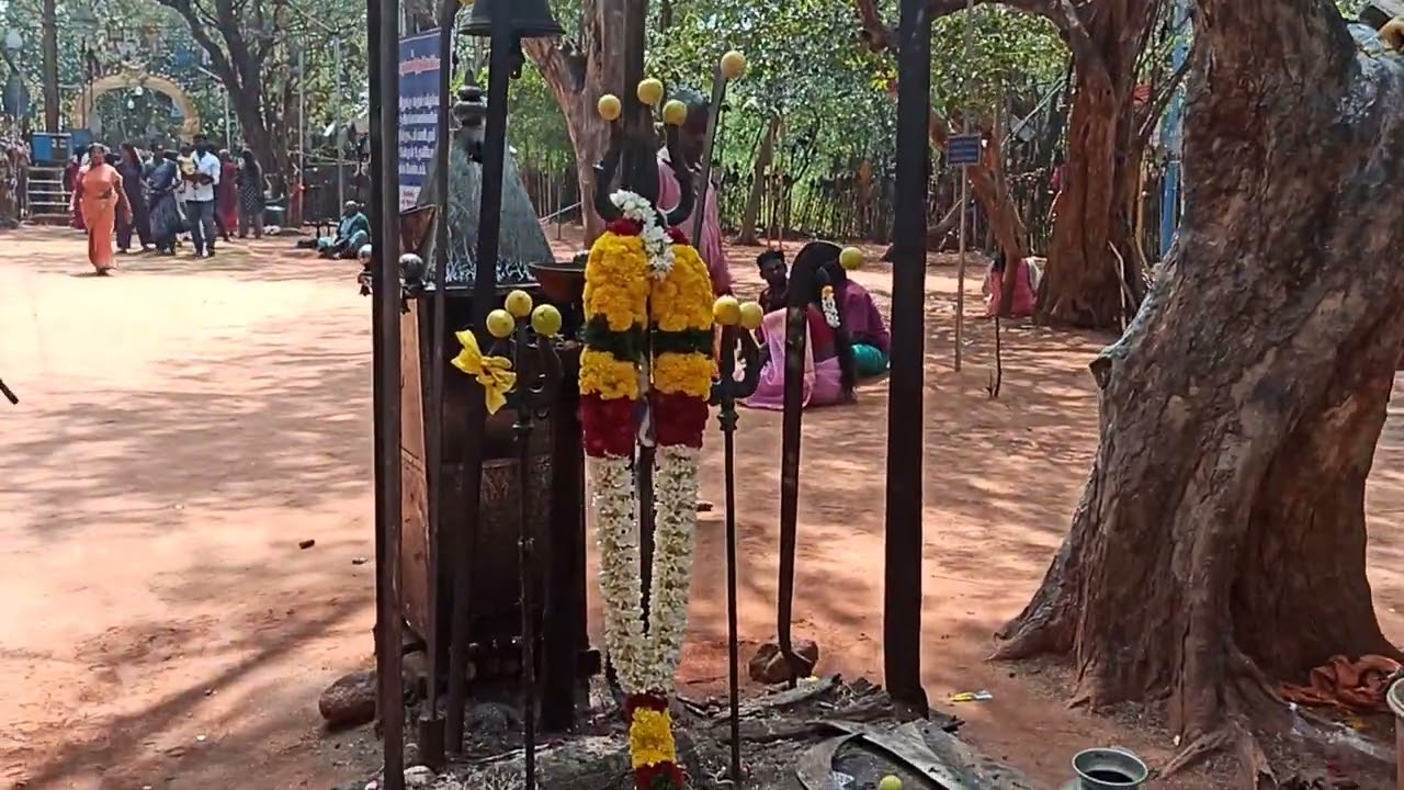 ஸ்ரீ தூண்டி கருப்பசாமி வேண்டியவரும் உடனே நிறைவேறும் வேல் காணிக்கை கோவில்வளநாடு மணப்பாறை திருச்சி மாவ