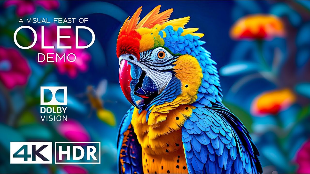 Incredible 4K HDR 60 FPS: A Visual Feast for Your Eyes (4K Video)