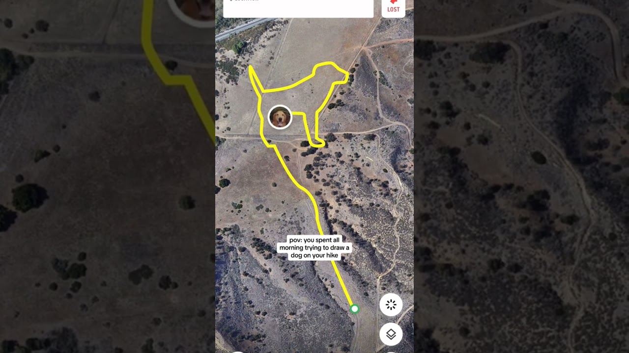 #ficollar #strava #stravacycling #dogwalker #doglover