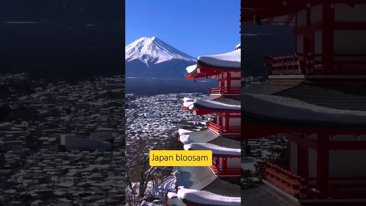 Chasing the Cherry Blossoms | Japan Springtime Adventure in Full Bloom