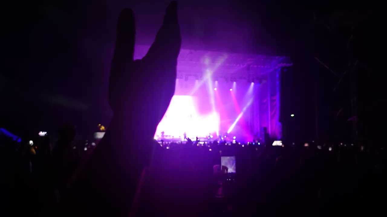 Scooter - How Much Is The Fish (live)