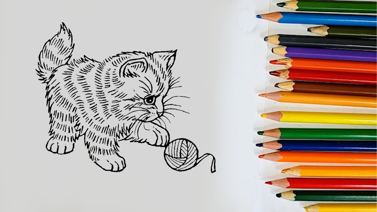 Cute Kitten Coloring Fun for Kids