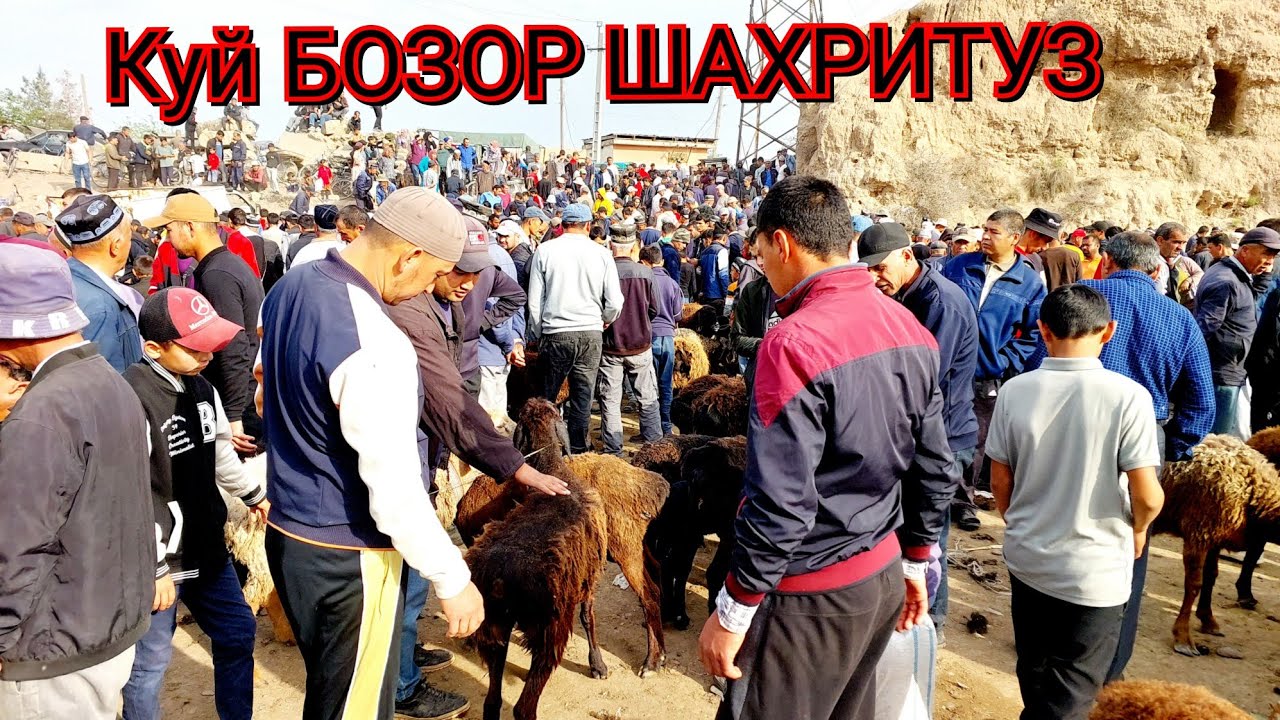 МОЛБОЗОР ШАХРИТУЗ МАРХАМАТ КУЙ БОЗОРДА СИЗЛАР УЧУН СИЁМКА КУРБОНЛИК КУЙ ОЛАМАН ДЕГАН АКАЛАР МАРХАМАТ