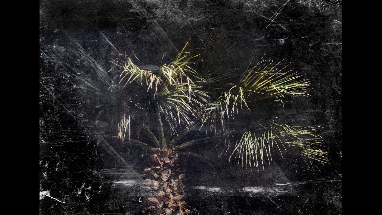 Sadacore - Palm Free