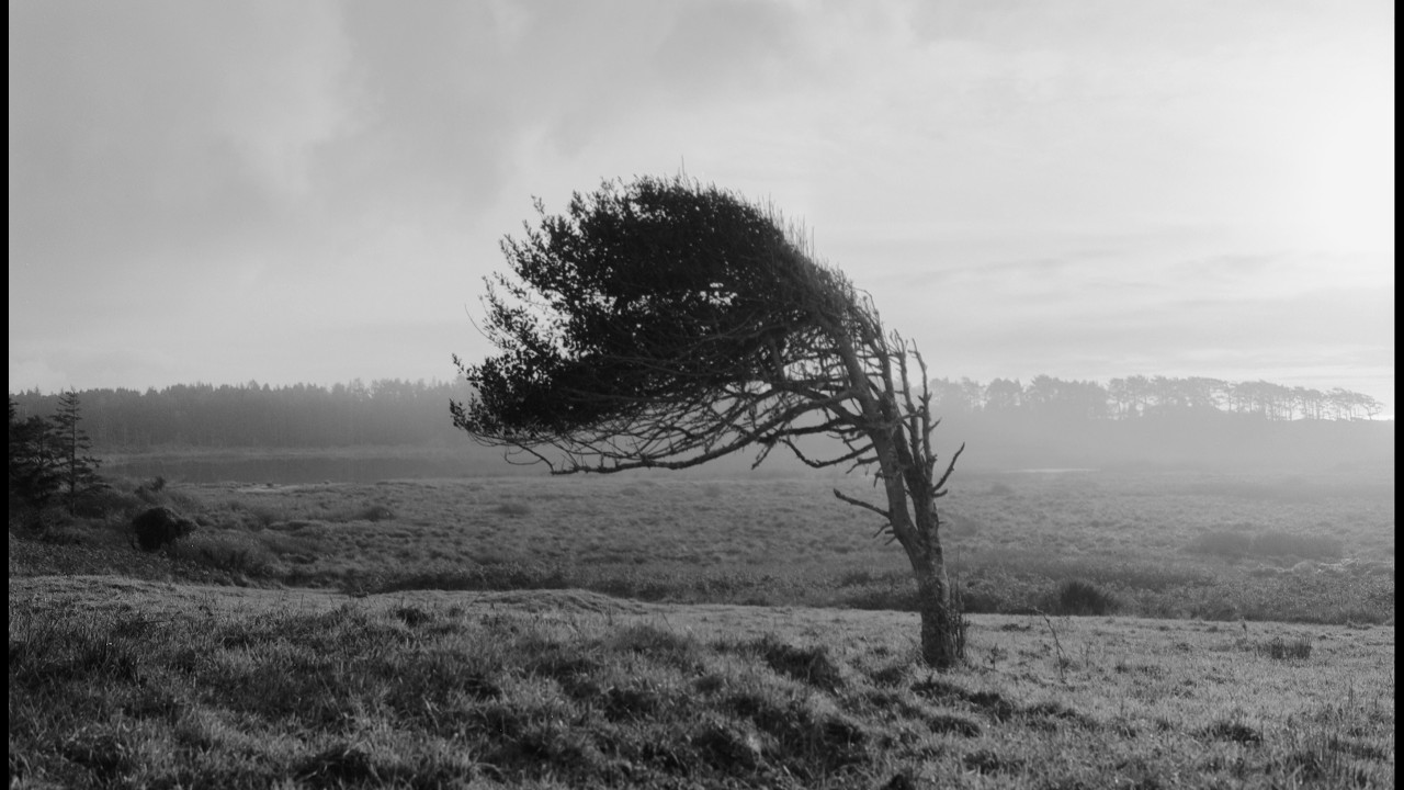 film stock philosophy