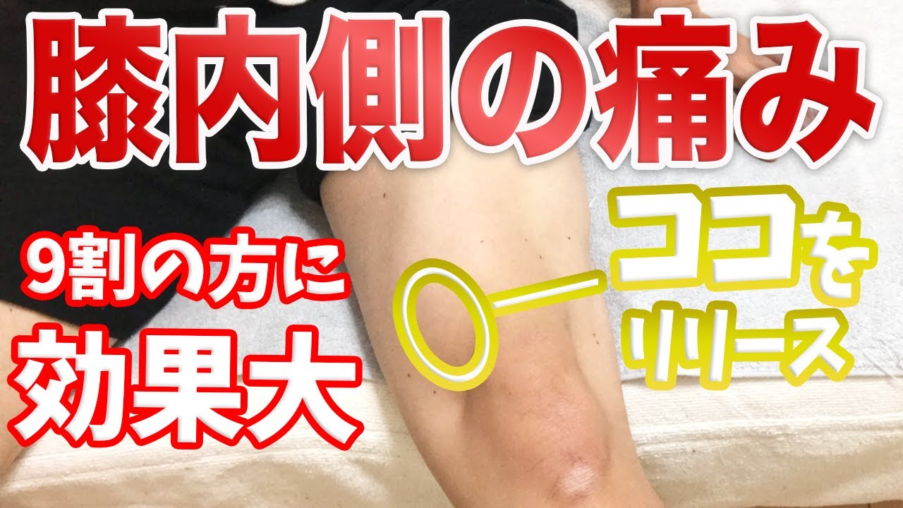 【自分で治す】9割の方が効果大！膝の内側の痛みを解消する2つのリリースポイント【渋谷　膝の痛み】東京都渋谷区恵比寿の整体院蒼