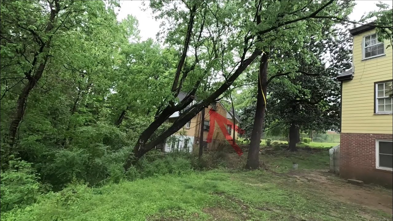 Emergency job- tree was about to destroy this house