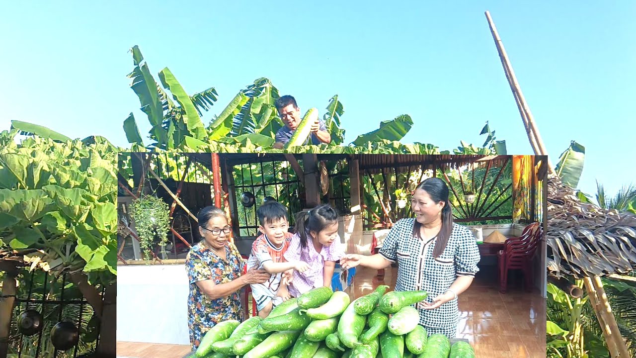 Tin Được Không Chỉ Có 1 Dây HTMT & Family 