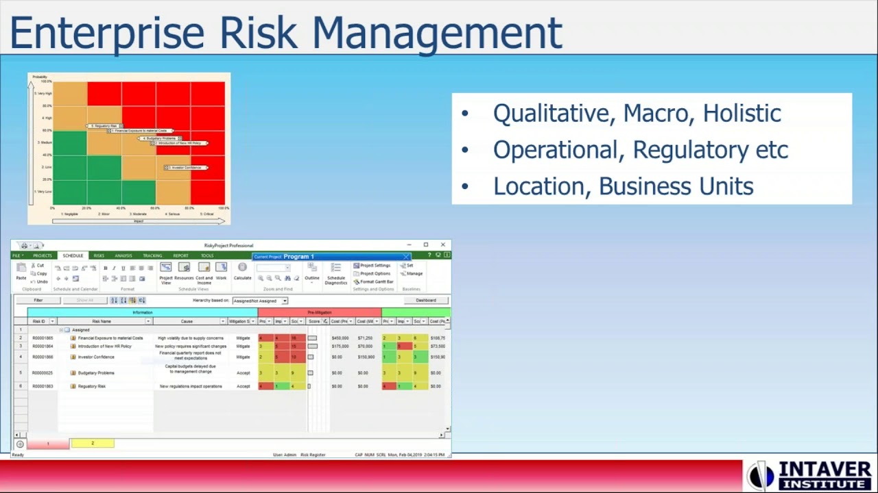 Project to Portfolio Risk Analysis