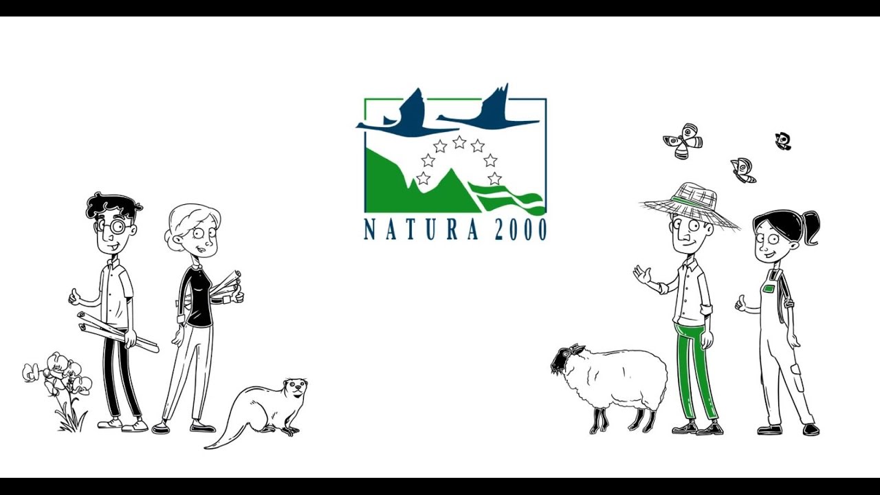 Erklärfilm-Natura 2000 und die Managementplanung