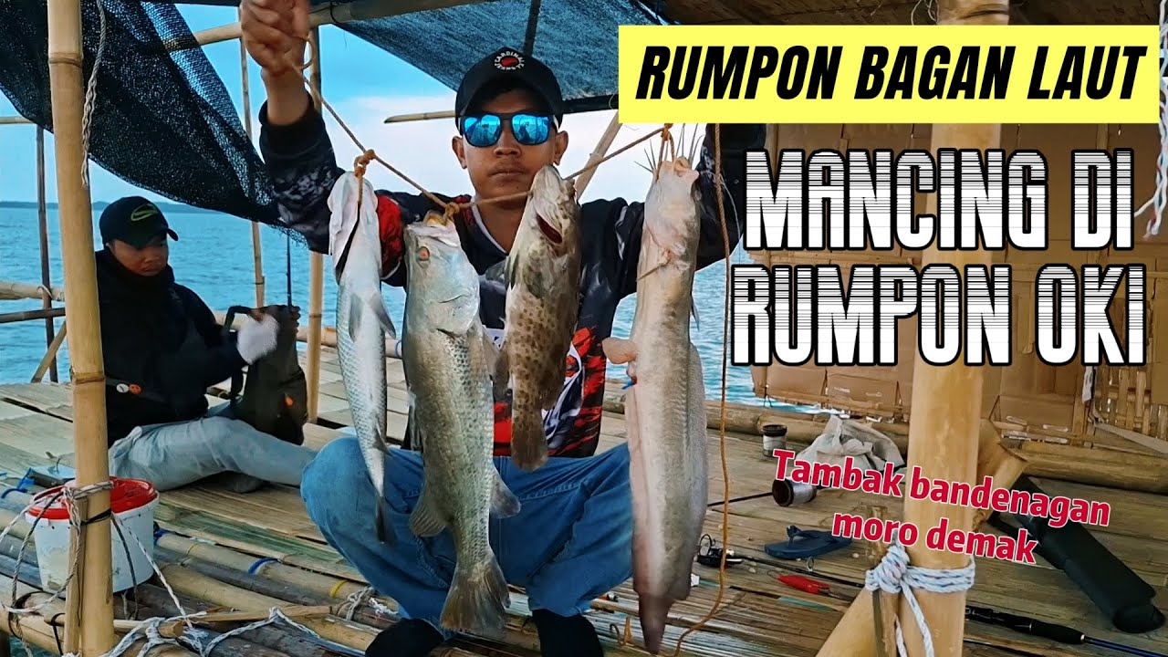 Mancing kakap di rumpon oki yang berada di laut morodemak