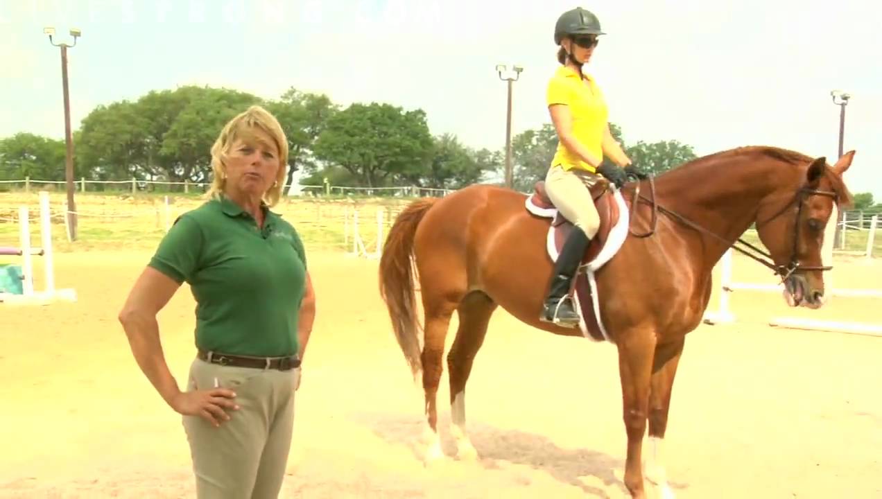 How To Ride a Horse