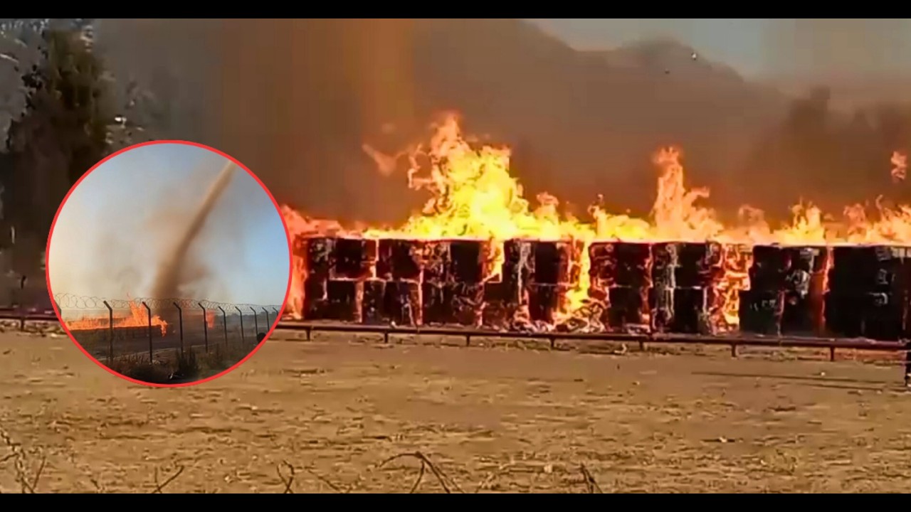 Incendio consume papelera de CMPC ubicada en Puente Alto: solicitan evacuar sectores aledaños