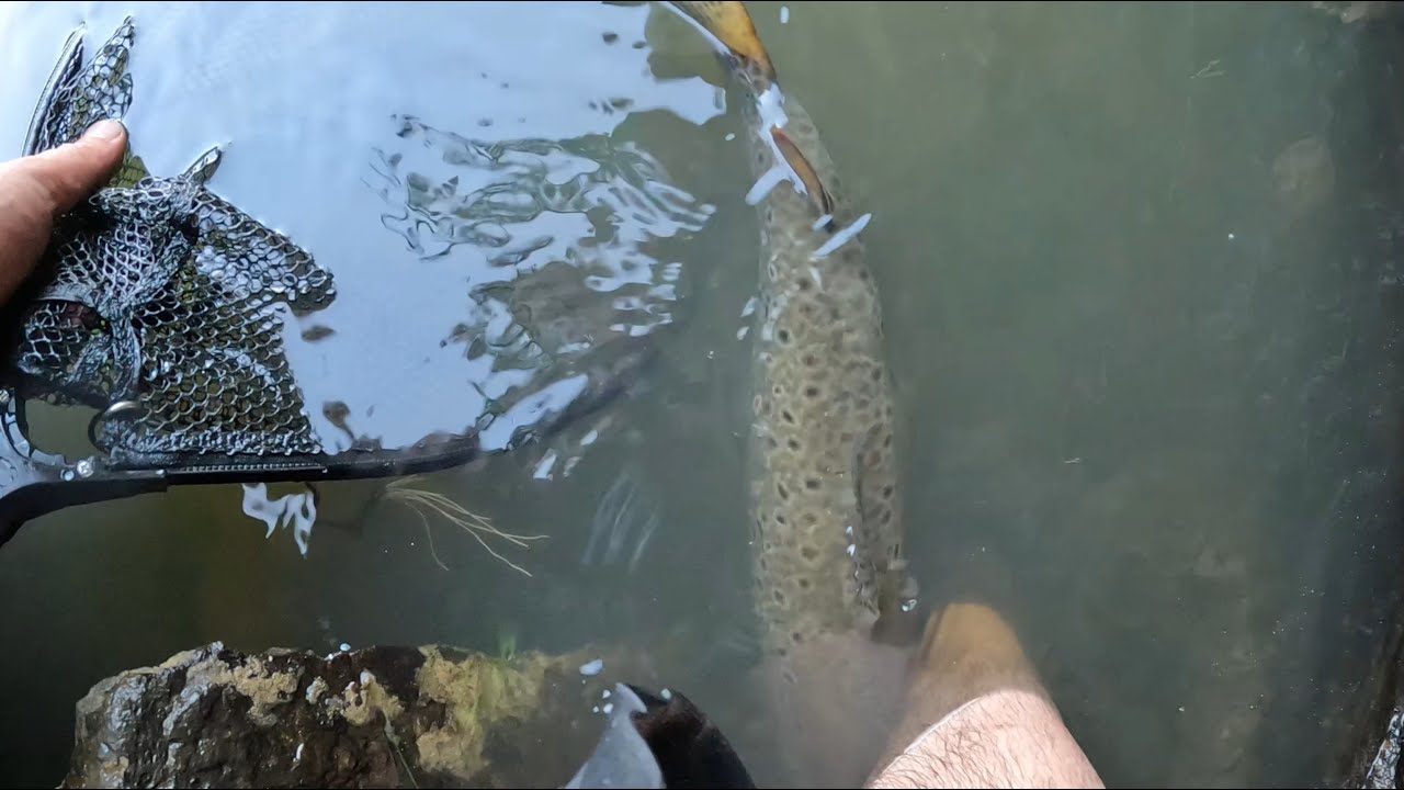 Pesca Extrema | Peña mala | Buscando una trucha record!!!