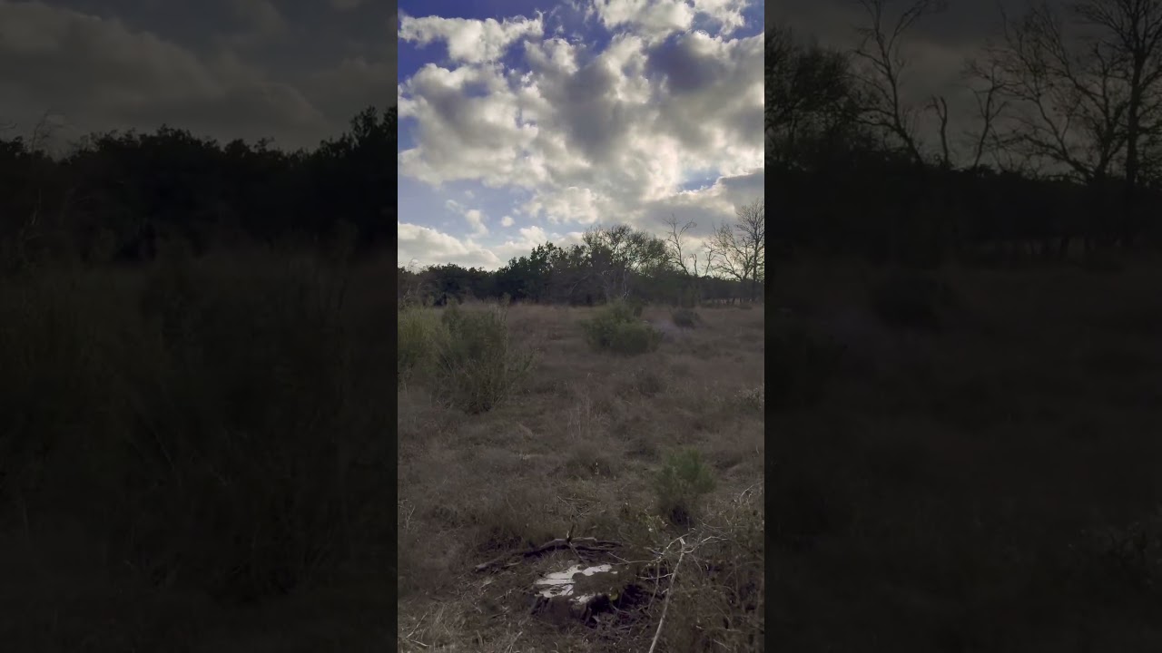 We Didn’t Expect THIS at Phil Hardberger Park… (Full Hike Coming Soon) 