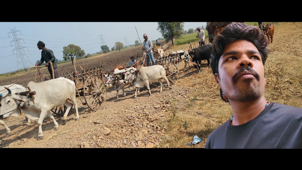 DAY:60 Khet Mein Hui Masti aur Bailgadiyon ki 'Traffic Jam'! 😂