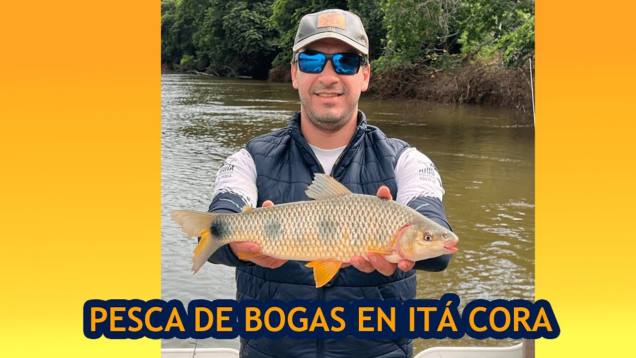 Pesca de bogas en Ita Cora
