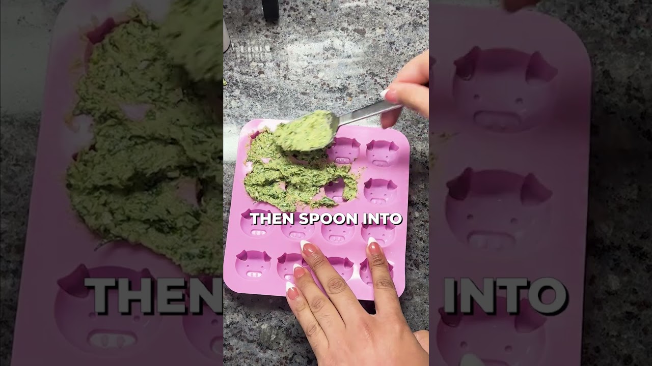 DIY Dog Breath Mints! 🤗 #shorts