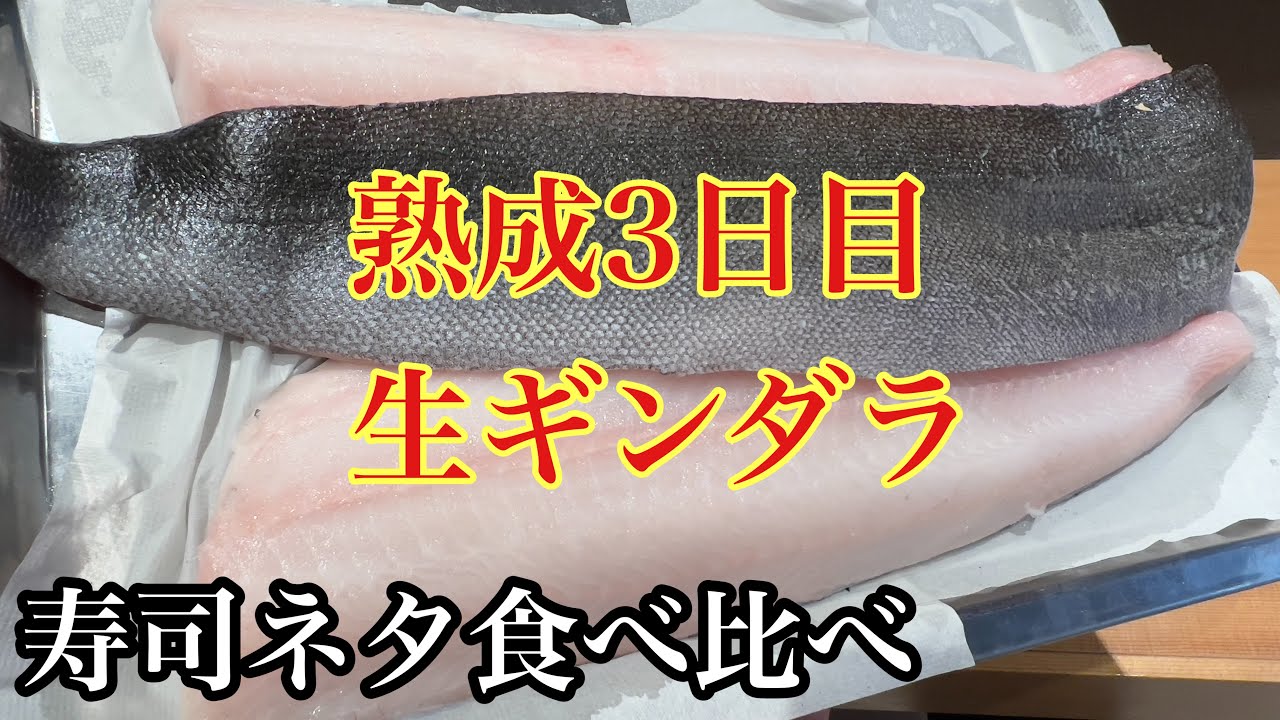 熟成3日目生ギンダラ🐟　色んな味で食べ比べ実験#釣り#sushi#寿司