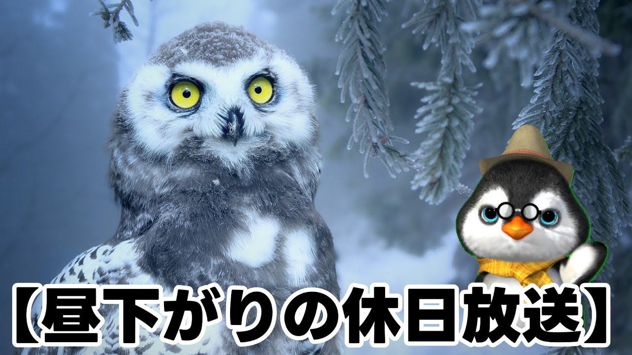 【ただの雑談】昼下がりの休日雑談放送【気軽に聞いてね】