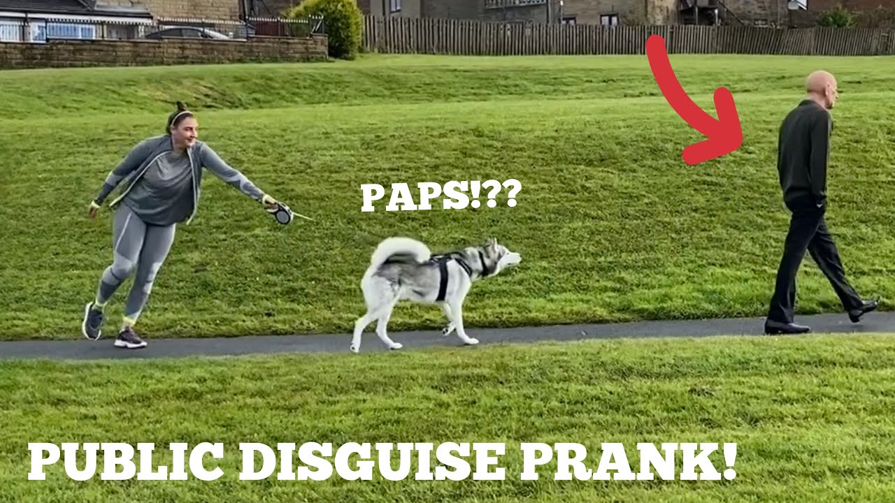 Will My Huskies Recognise Me In Public Dressed As An OLD MAN Prank!! [WITH CAPTIONS] [BEST REACTION]