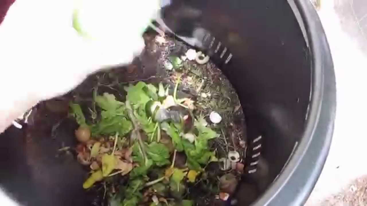 Compost bak gedeeld met buren