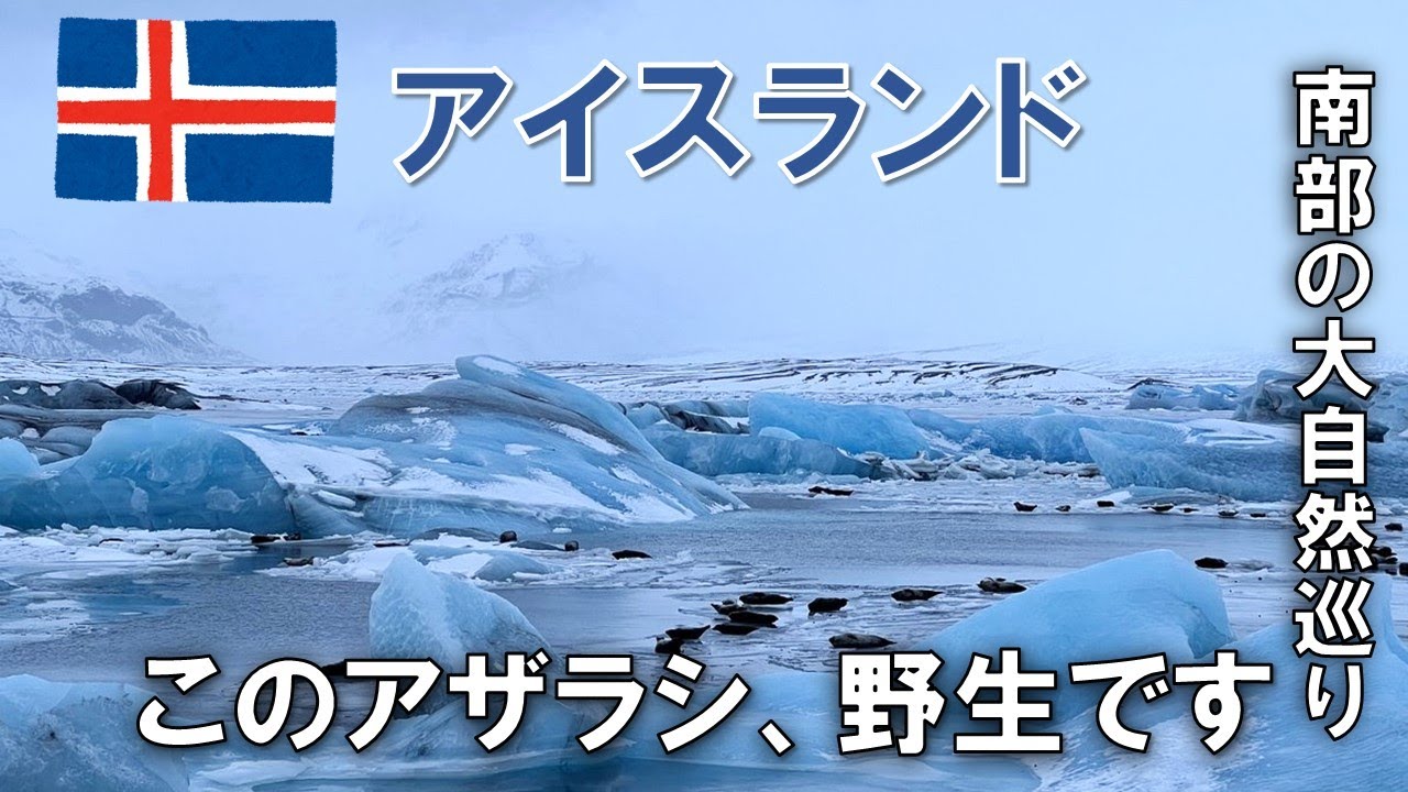 アイスランド🇮🇸ダイアモンドビーチと野生アザラシの群れと氷河と滝　南部ツアーに参加しました！