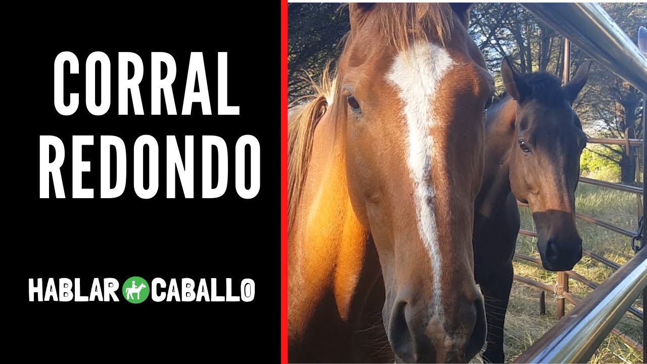 Armando un Corral Redondo para Caballos