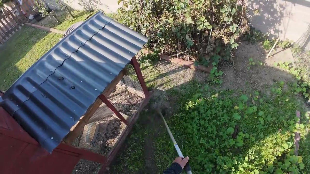 Nos fuimos a trabajar con mala yerbas 