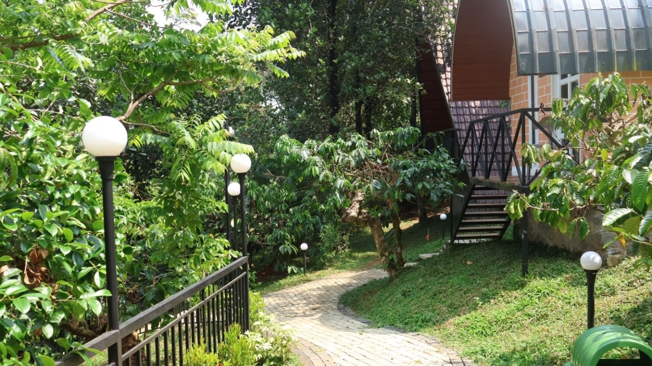 Low Budget Private Pool Villa and Couple Huts in Wayanad - Kalpatta area