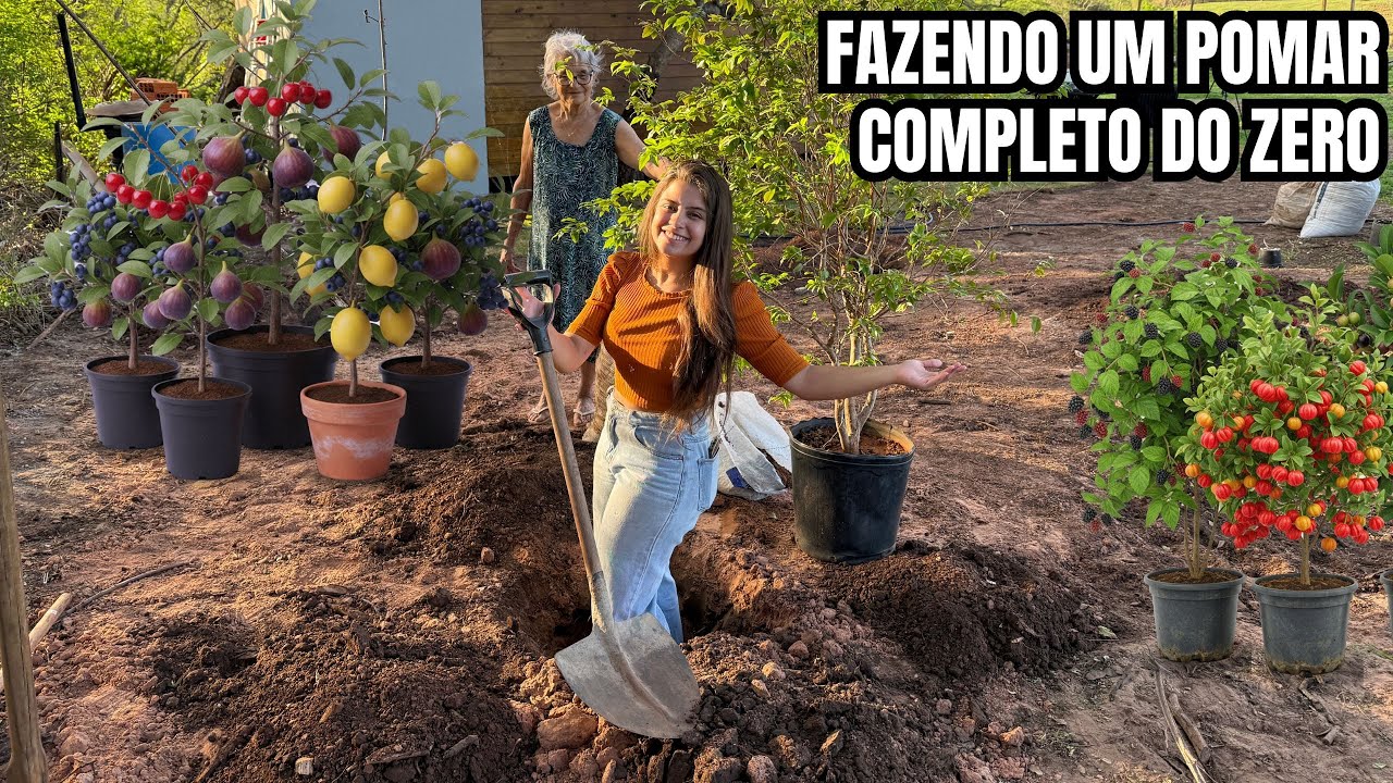 Construindo um pomar completo já produzindo no sítio isolado