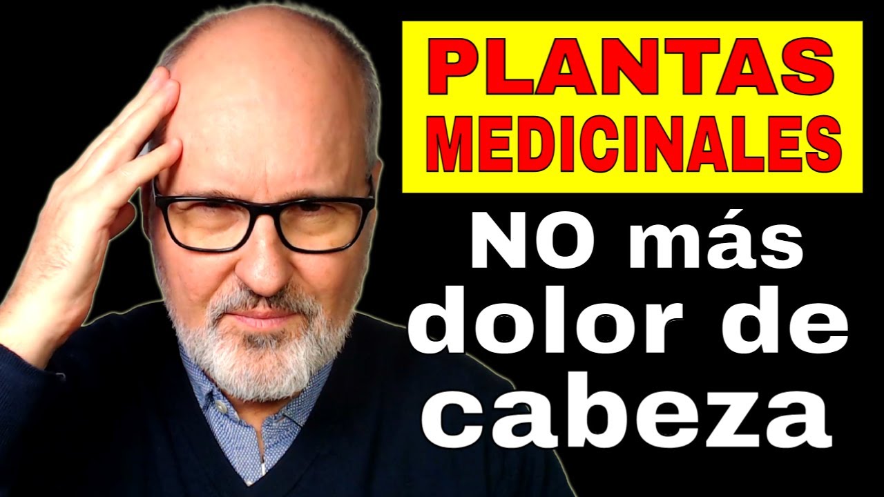 10 PLANTAS que ALIVIAN el DOLOR DE CABEZA (según la CIENCIA)