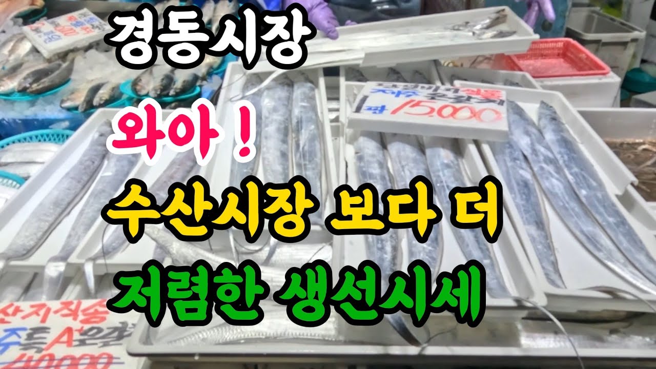 수산시장보다 훨씬 저렴한 각종 생선시세에 깜놀?