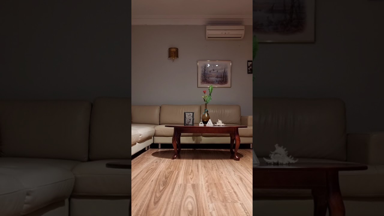 Chỉ có một thời (Diệu Hương)