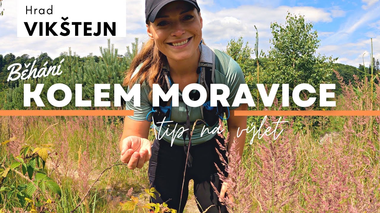 KOLEM MORAVICE A NA HRAD VIKŠTEJN - TIP NA VÝLET // TOP BĚŽECKÁ TRASA - a taky hadi a maliny
