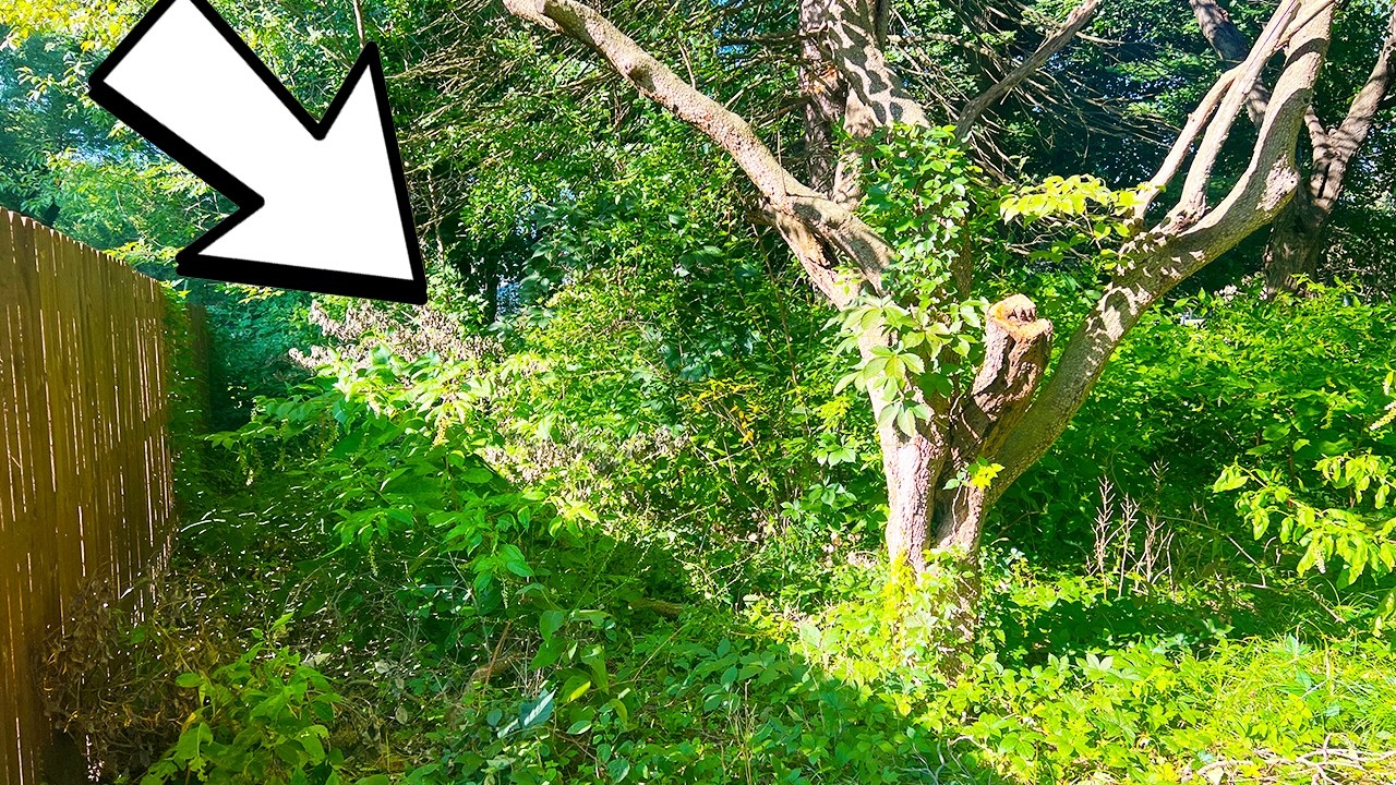 Angry Neighbor demands SHE clean up yard despite HEART ATTACK and Open Heart Surgery