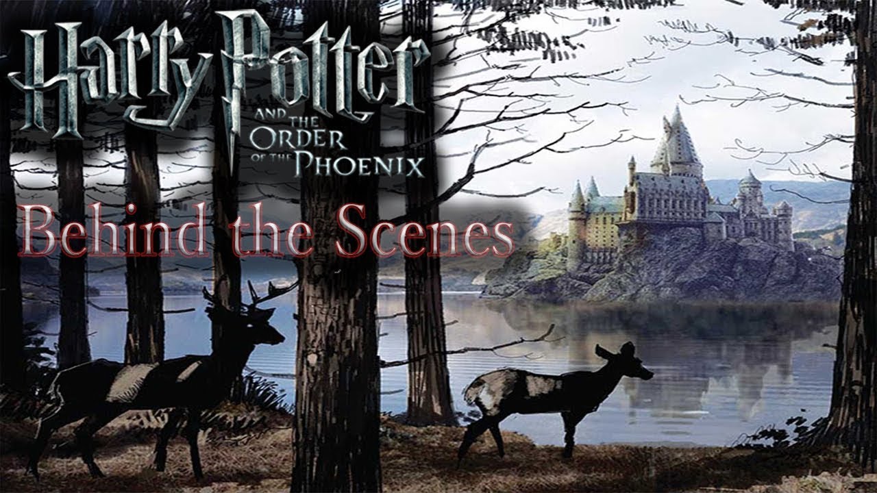 Behind the Scenes - Harry Potter and the Order of the Phoenix (PC)