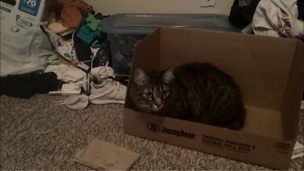 ikea tower nerfed to extreme stream 8 PB: 10x5, 9x5, 8x12