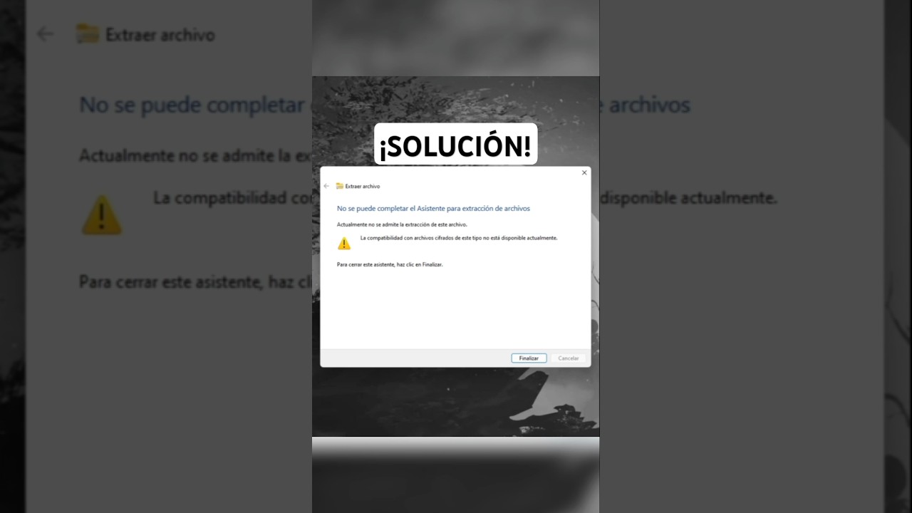 WINDOWS 11 